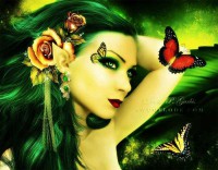 /album/blogul-despre-toate/a1620822-494940380623866-1132030226-n-jpg/