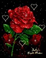 /album/galerie-foto/i-love-you-52-d4d6b464cacc4f-jpg/